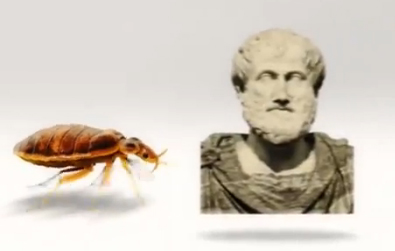 Bed Bug History - Cimex Lectularius History